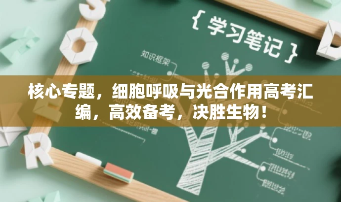 核心专题,细胞呼吸与光合作用高考汇编,高效备考,决胜生物! 核心专题,细胞呼吸与光合作用高考汇编,高效备考,决胜生物!