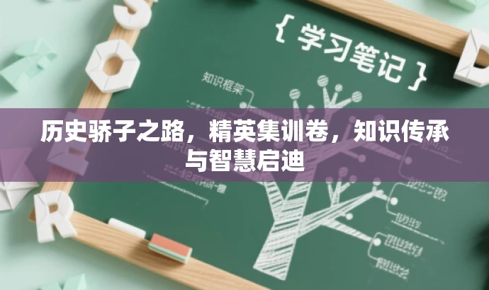 历史骄子之路，精英集训卷，知识传承与智慧启迪