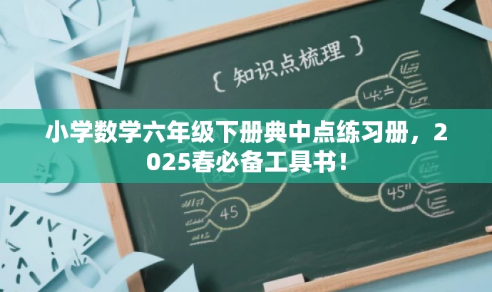 小学数学六年级下册典中点练习册,2025春必备工具书! 小学数学六年级下册典中点练习册,2025春必备工具书!