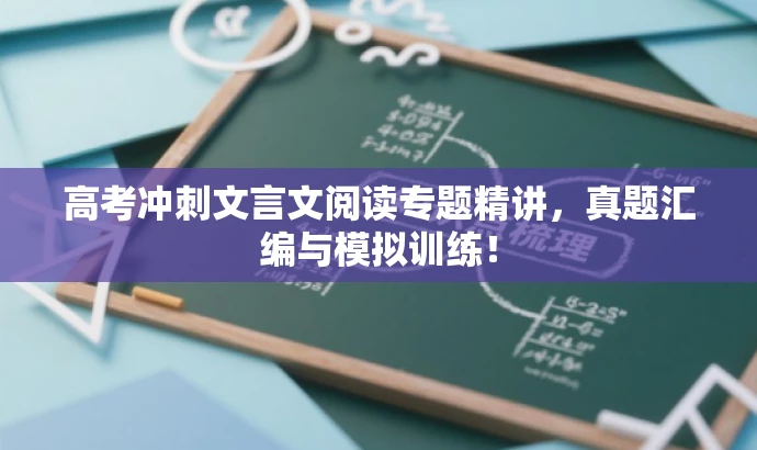 高考冲刺文言文阅读专题精讲,真题汇编与模拟训练! 高考冲刺文言文阅读专题精讲,真题汇编与模拟训练!