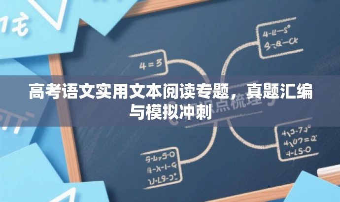 高考语文实用文本阅读专题，真题汇编与模拟冲刺