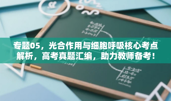 专题05,光合作用与细胞呼吸核心考点解析,高考真题汇编,助力教师备考! 专题05,光合作用与细胞呼吸核心考点解析,高考真题汇编,助力教师备考!