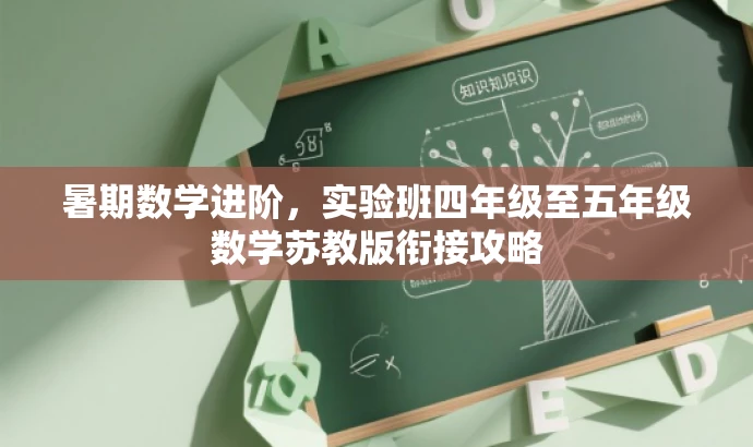 暑期数学进阶,实验班四年级至五年级数学苏教版衔接攻略 暑期数学进阶,实验班四年级至五年级数学苏教版衔接攻略