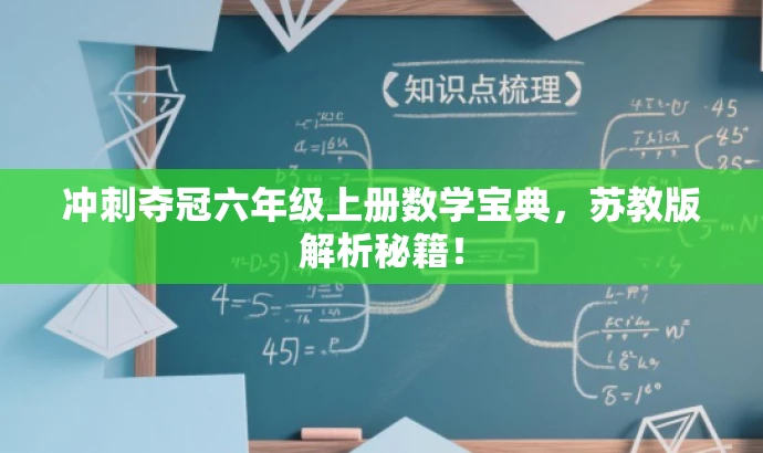 冲刺夺冠六年级上册数学宝典,苏教版解析秘籍! 冲刺夺冠六年级上册数学宝典,苏教版解析秘籍!