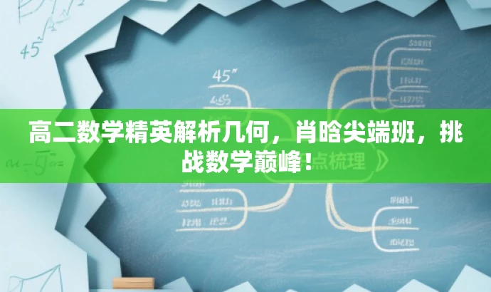 高二数学精英解析几何,肖晗尖端班,挑战数学巅峰! 高二数学精英解析几何,肖晗尖端班,挑战数学巅峰!