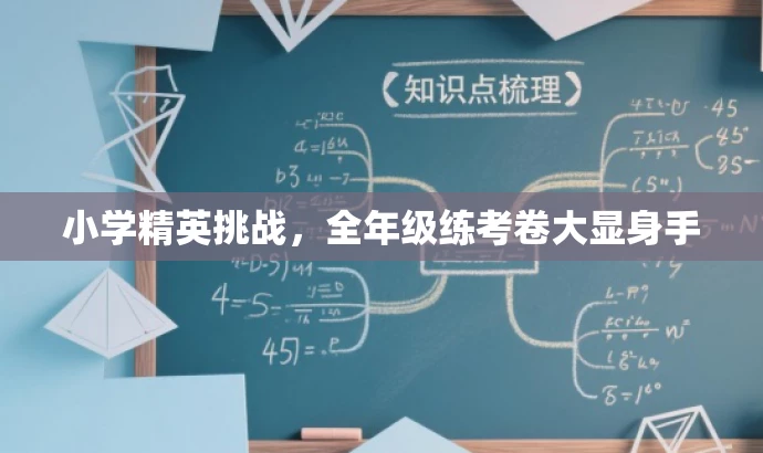 小学精英挑战，全年级练考卷大显身手