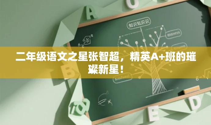 二年级语文之星张智超,精英A+班的璀璨新星! 二年级语文之星张智超,精英A+班的璀璨新星!