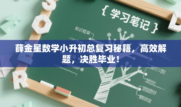 薛金星数学小升初总复习秘籍,高效解题,决胜毕业! 薛金星数学小升初总复习秘籍,高效解题,决胜毕业!