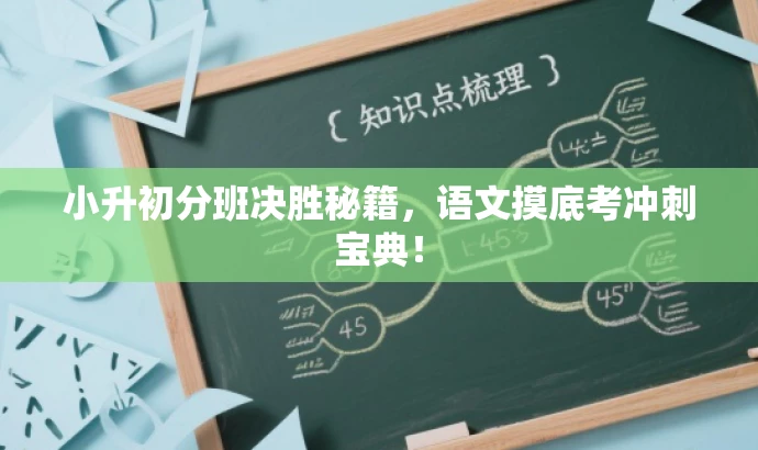 小升初分班决胜秘籍,语文摸底考冲刺宝典! 小升初分班决胜秘籍,语文摸底考冲刺宝典!