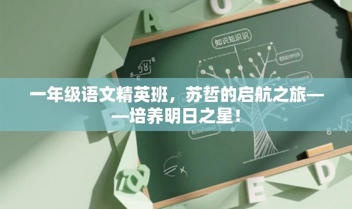 一年级语文精英班,苏哲的启航之旅——培养明日之星! 一年级语文精英班,苏哲的启航之旅——培养明日之星!