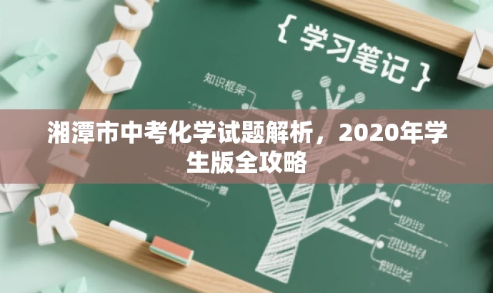 湘潭市中考化学试题解析,2020年学生版全攻略 湘潭市中考化学试题解析,2020年学生版全攻略