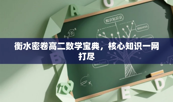 衡水密卷高二数学宝典，核心知识一网打尽
