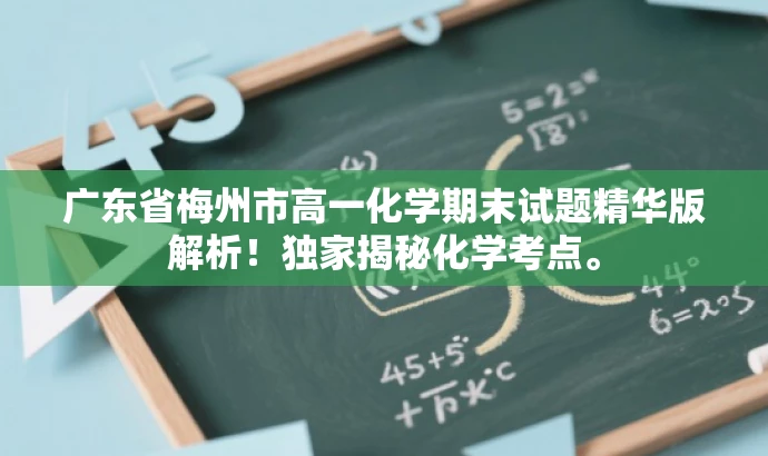 广东省梅州市高一化学期末试题精华版解析!独家揭秘化学考点。 广东省梅州市高一化学期末试题精华版解析!独家揭秘化学考点。