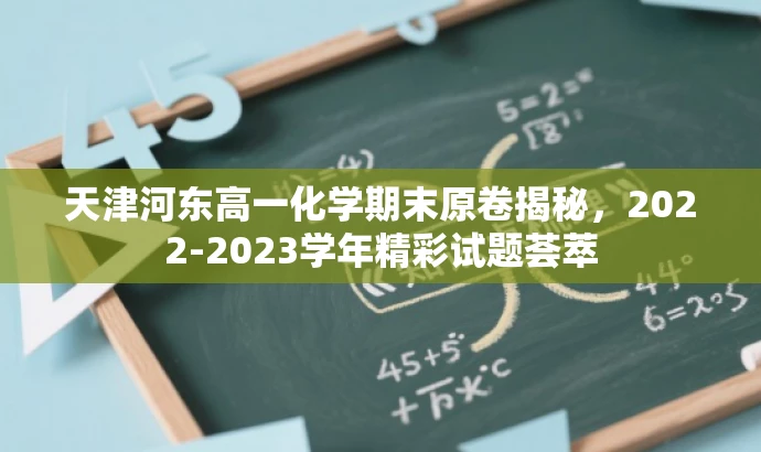天津河东高一化学期末原卷揭秘，2022-2023学年精彩试题荟萃