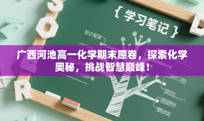 广西河池高一化学期末原卷,探索化学奥秘,挑战智慧巅峰! 广西河池高一化学期末原卷,探索化学奥秘,挑战智慧巅峰!