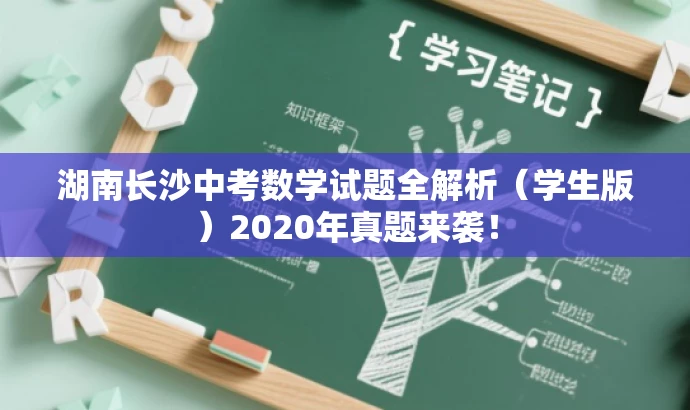 湖南长沙中考数学试题全解析(学生版)2020年真题来袭! 湖南长沙中考数学试题全解析(学生版)2020年真题来袭!