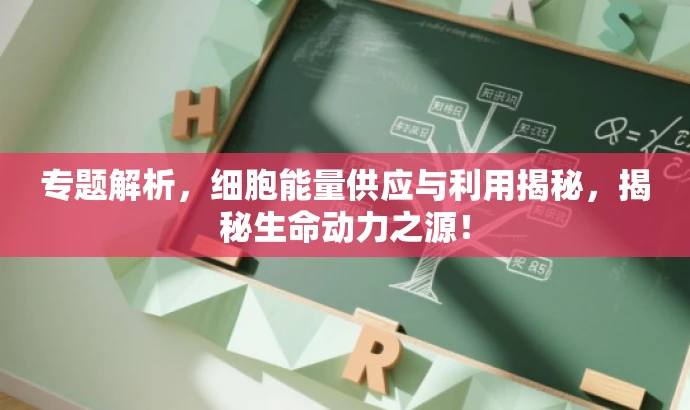 专题解析,细胞能量供应与利用揭秘,揭秘生命动力之源! 专题解析,细胞能量供应与利用揭秘,揭秘生命动力之源!