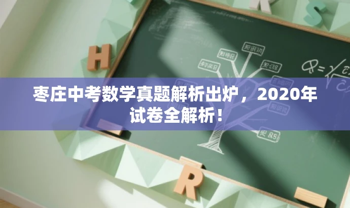 枣庄中考数学真题解析出炉,2020年试卷全解析! 枣庄中考数学真题解析出炉,2020年试卷全解析!