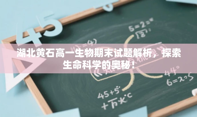 湖北黄石高一生物期末试题解析,探索生命科学的奥秘! 湖北黄石高一生物期末试题解析,探索生命科学的奥秘!