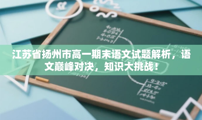 江苏省扬州市高一期末语文试题解析，语文巅峰对决，知识大挑战！
