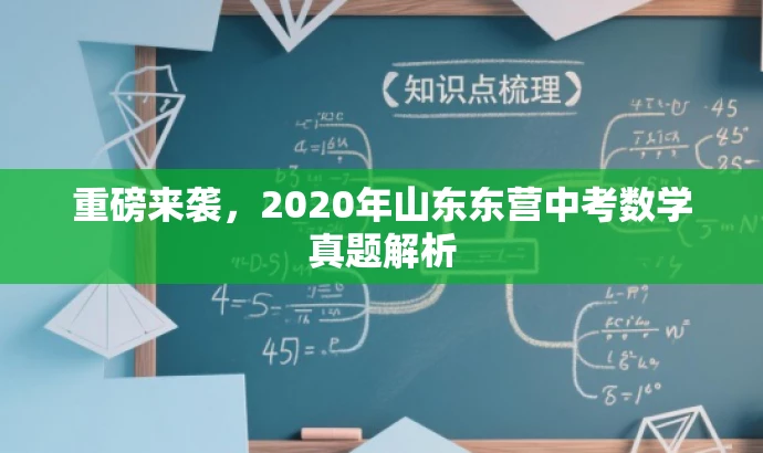 重磅来袭,2020年山东东营中考数学真题解析 重磅来袭,2020年山东东营中考数学真题解析
