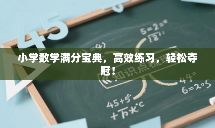 小学数学满分宝典，高效练习，轻松夺冠！