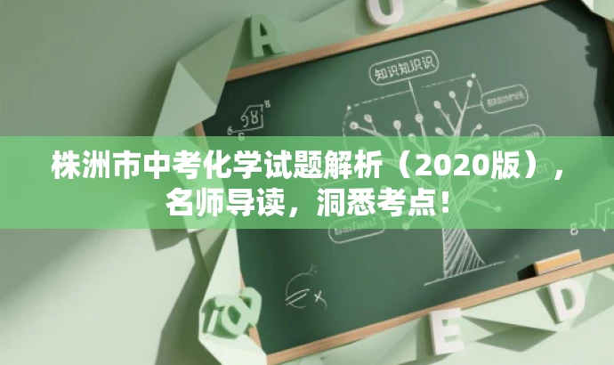 株洲市中考化学试题解析(2020版),名师导读,洞悉考点! 株洲市中考化学试题解析(2020版),名师导读,洞悉考点!