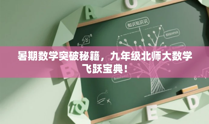 暑期数学突破秘籍，九年级北师大数学飞跃宝典！