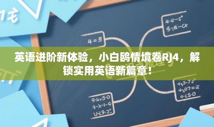 英语进阶新体验，小白鸥情境卷RJ4，解锁实用英语新篇章！