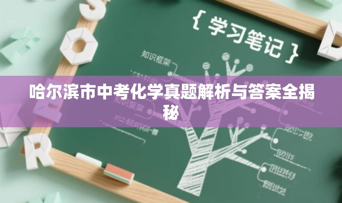 哈尔滨市中考化学真题解析与答案全揭秘
