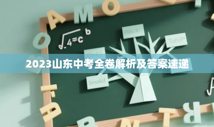 2023山东中考全卷解析及答案速递 2023山东中考全卷解析及答案速递