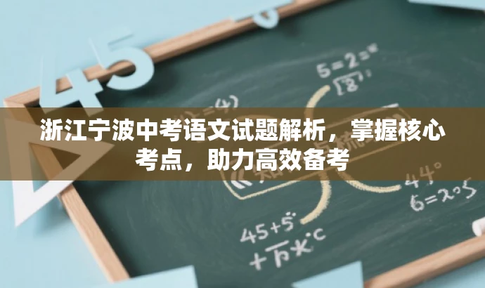 浙江宁波中考语文试题解析，掌握核心考点，助力高效备考