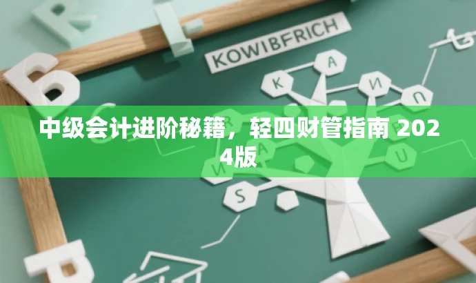 中级会计进阶秘籍，轻四财管指南 2024版