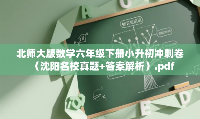 北师大版数学六年级下册小升初冲刺卷(沈阳名校真题+答案解析).pdf 北师大版数学六年级下册小升初冲刺卷(沈阳名校真题+答案解析).pdf