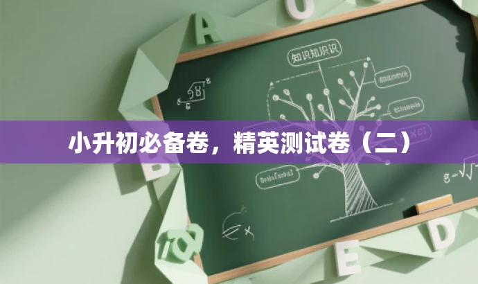 小升初必备卷,精英测试卷(二) 小升初必备卷,精英测试卷(二)