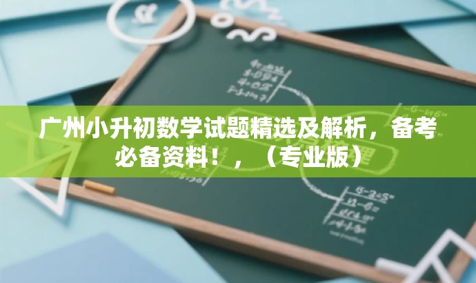 广州小升初数学试题精选及解析,备考必备资料!,(专业版) 广州小升初数学试题精选及解析,备考必备资料!,(专业版)