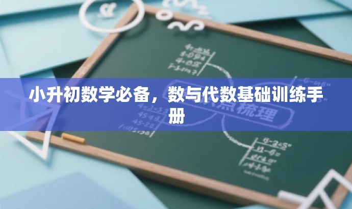 小升初数学必备,数与代数基础训练手册 小升初数学必备,数与代数基础训练手册