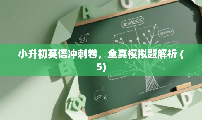 小升初英语冲刺卷,全真模拟题解析 (5) 小升初英语冲刺卷,全真模拟题解析 (5)